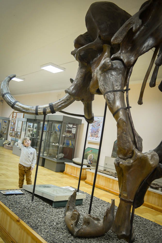 Photograph by Ирина Савенко