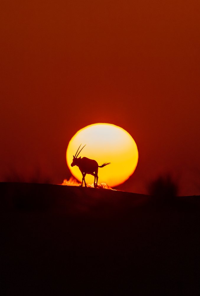 Фотография автора Zubair Irshad