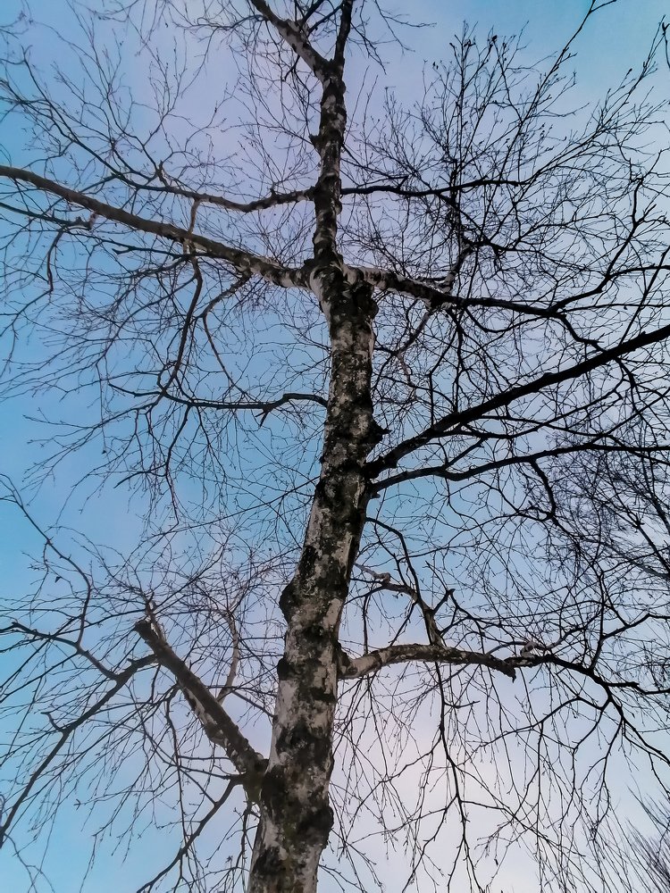 Photograph by Екатерина Подковенко
