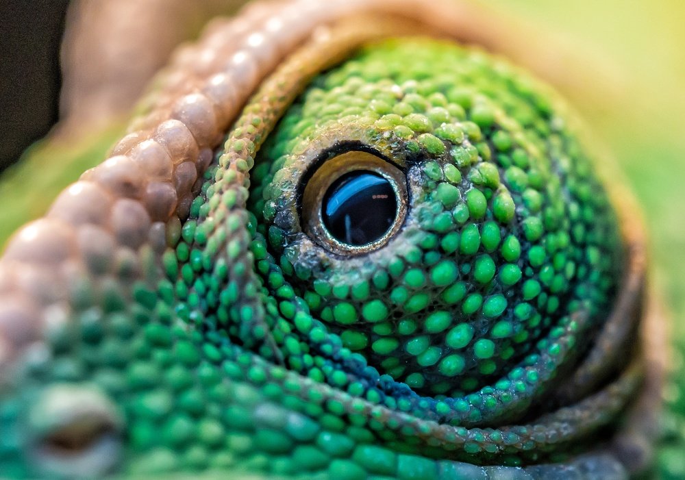 Photograph by Ольга Линк