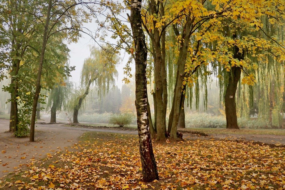 Photograph by Владимир Подкуйко