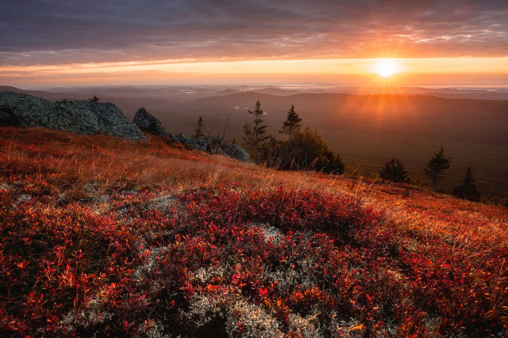 Photograph by Алексей Козаченко