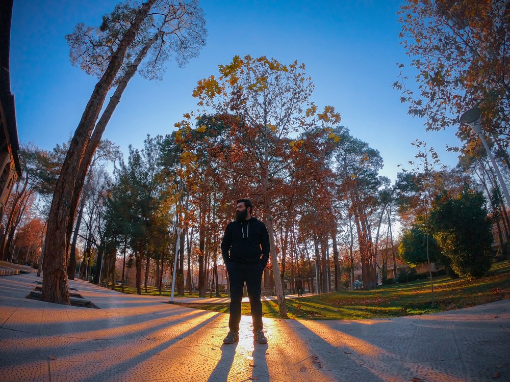 Photograph by Saeed Sadeghi