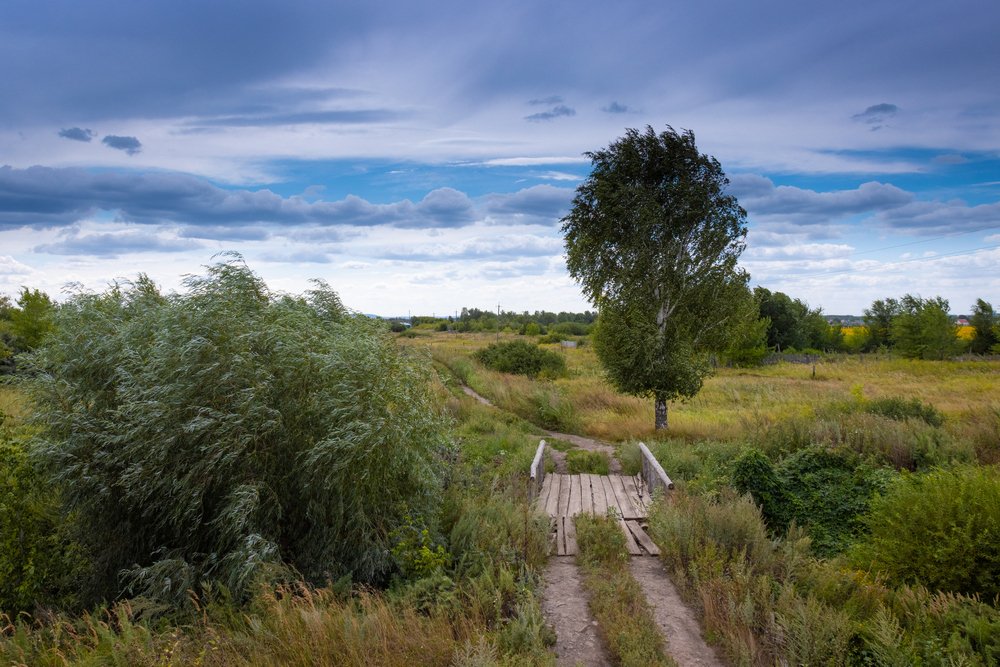 Photograph by Сергей Огромнов