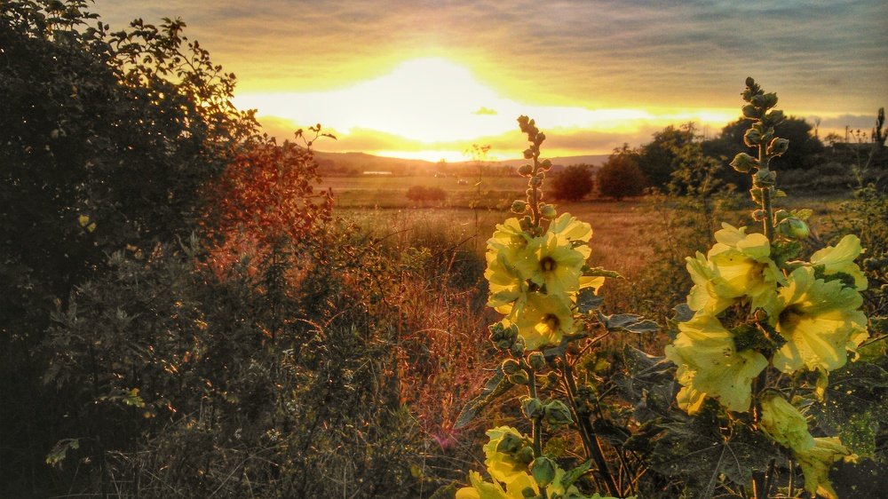 Photograph by Роман