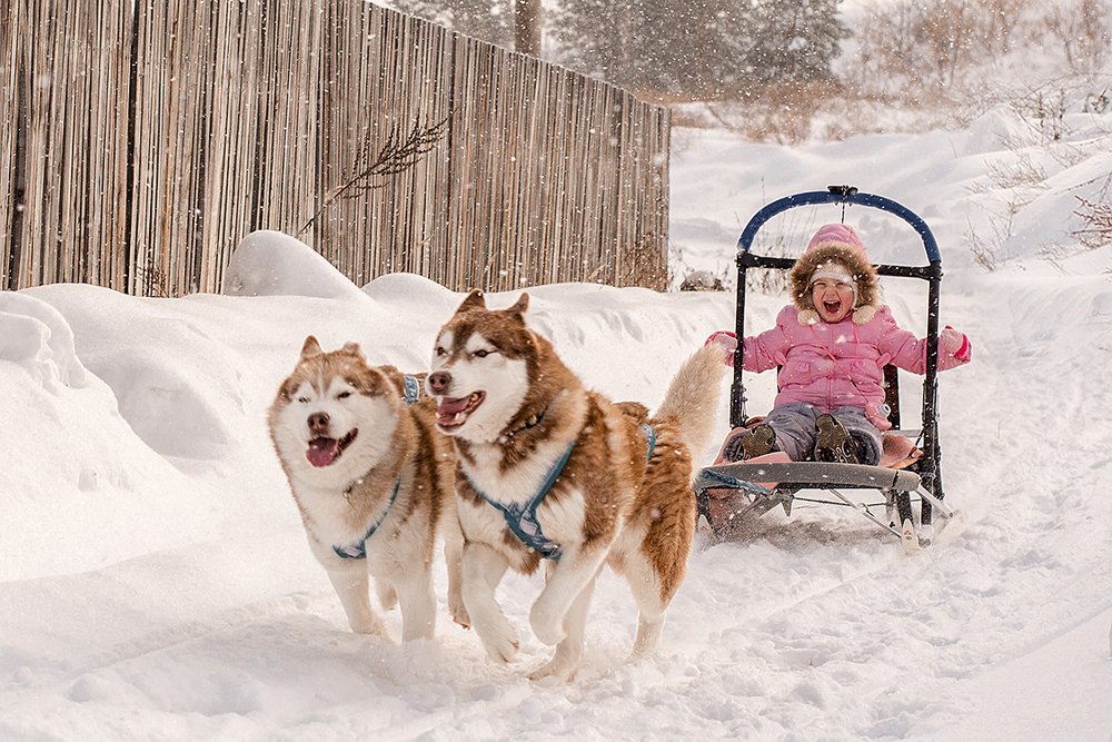 Photograph by Евгения Кутоманова