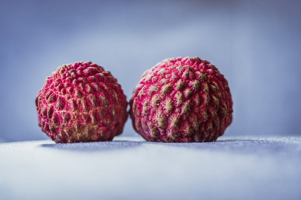 Photograph by Bijaya Lamichhane Jaisi