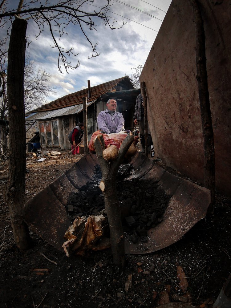 Photograph by Dimitrije Todorovic