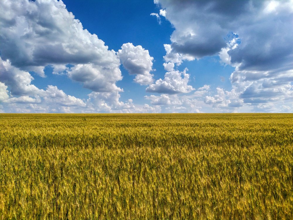 Photograph by Дина Горбачёва