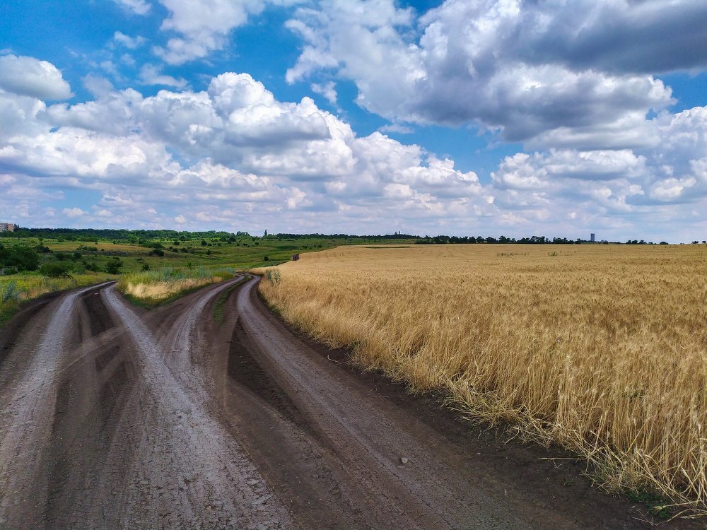 Photograph by Дина Горбачёва