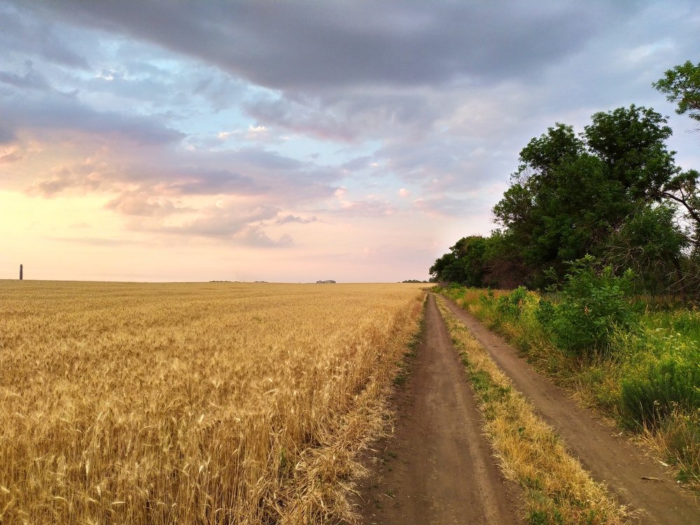 Photograph by Дина Горбачёва
