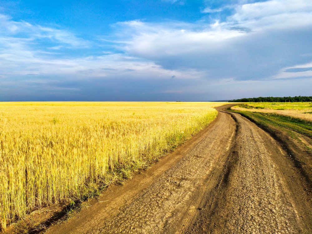 Photograph by Дина Горбачёва