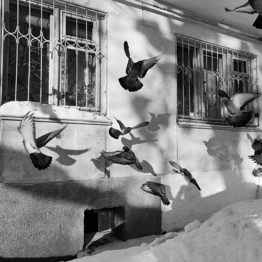 Мирные тени