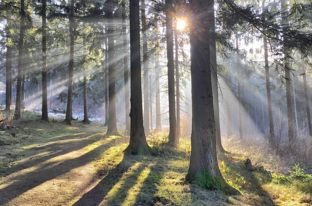 Здравствуй солнце
