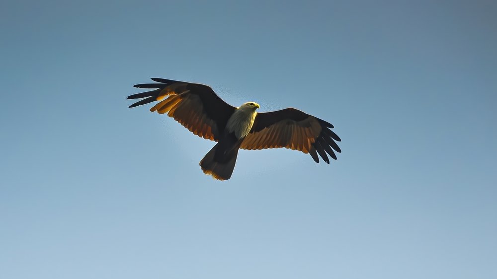 Photograph by Mahesh Krishna