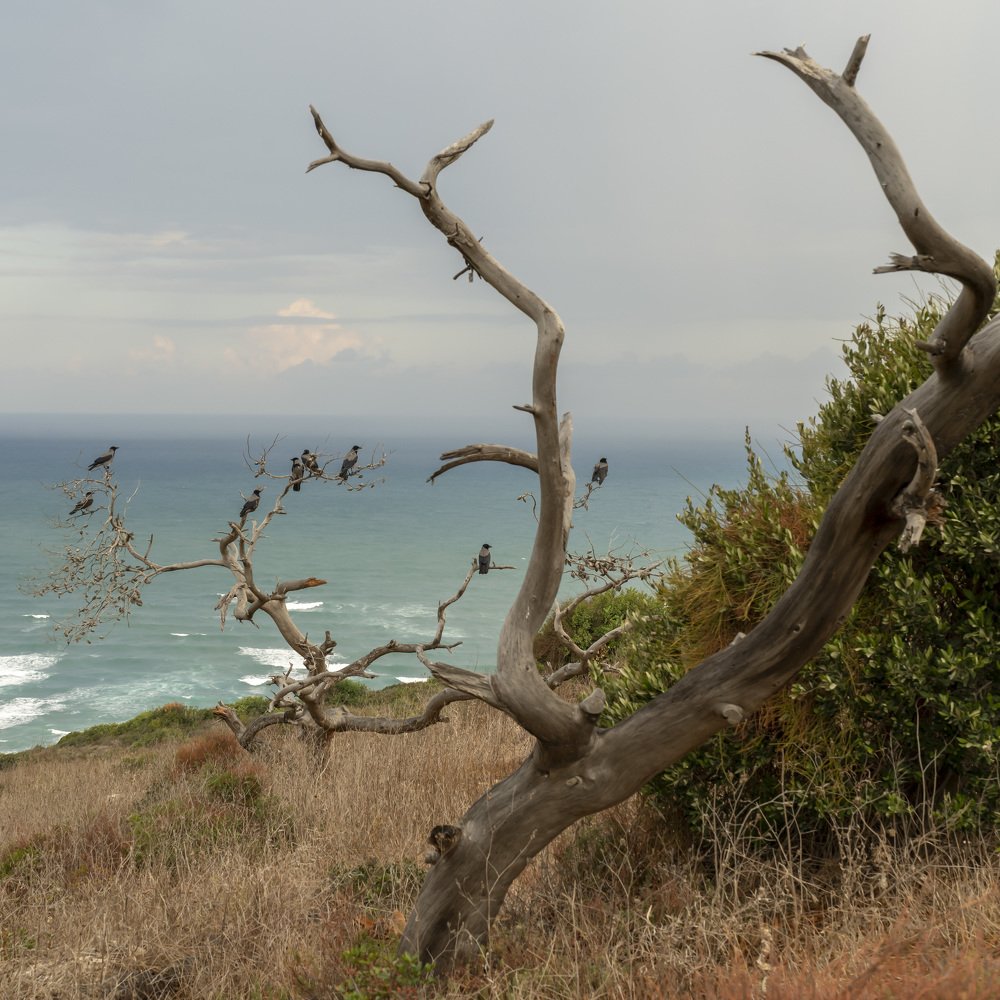 Photograph by Genadi Cobzar