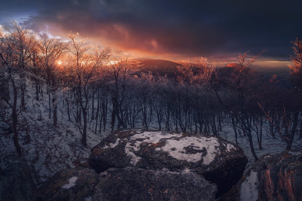 Photograph by Erik Baran