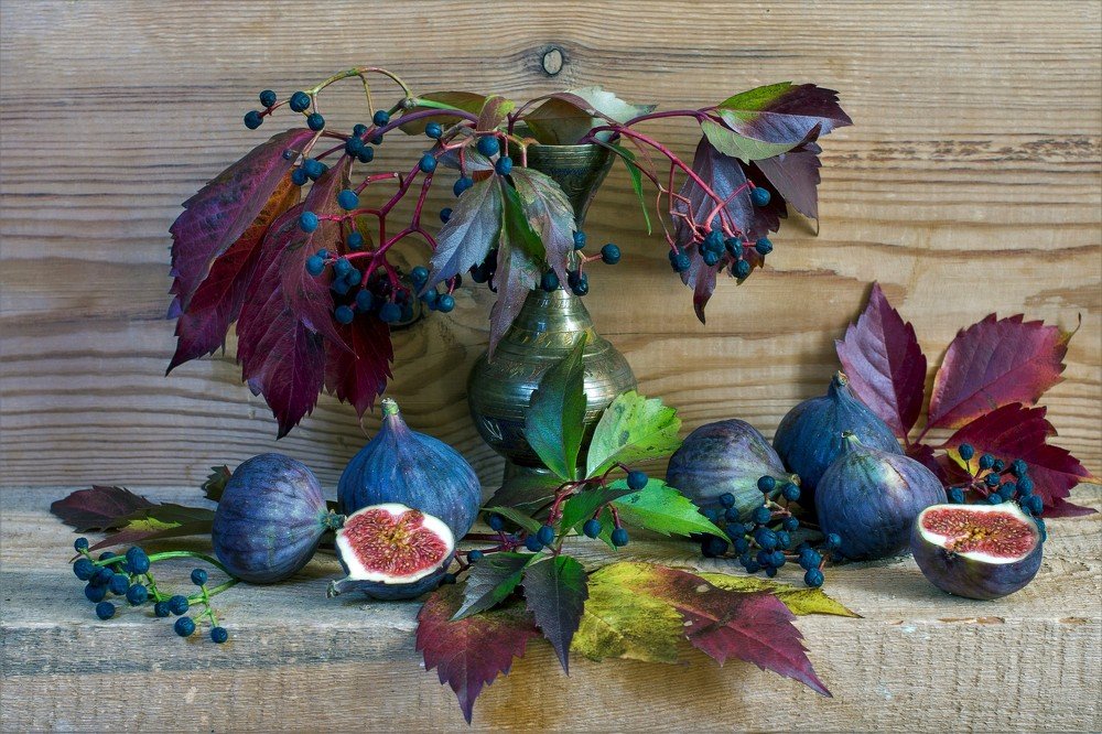 Инжир и дикий виноград