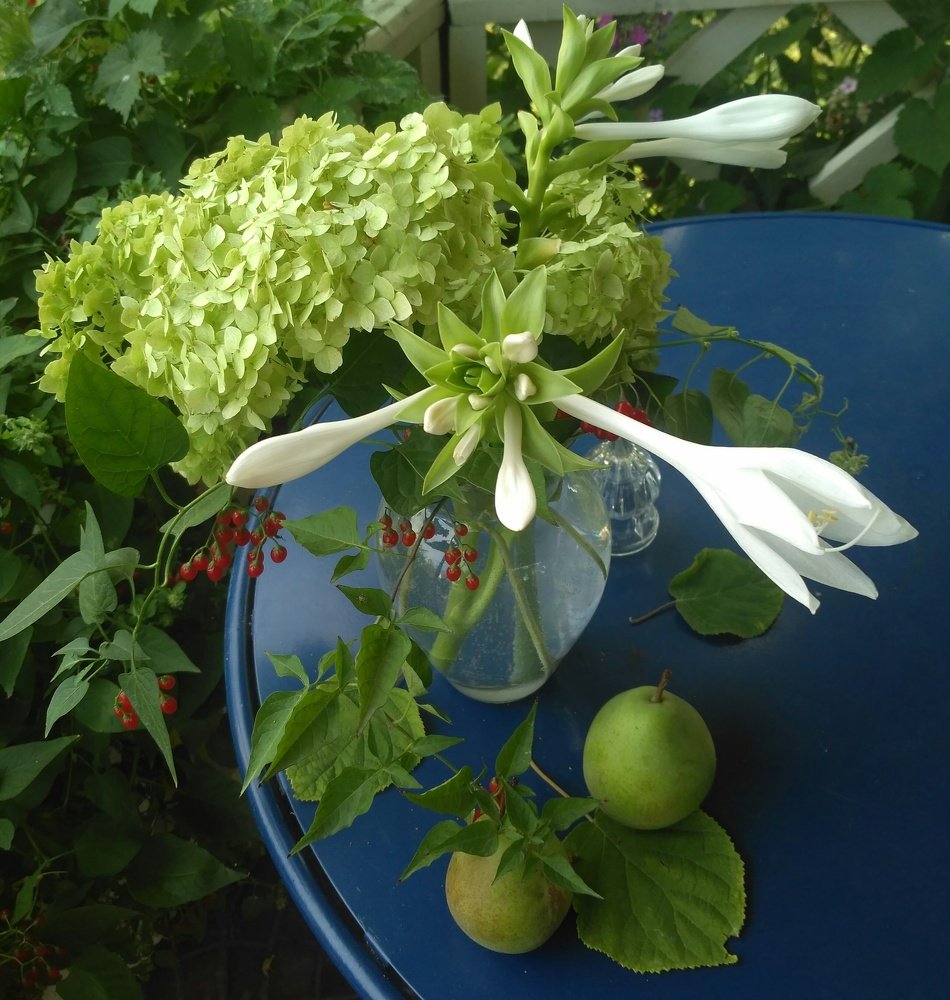 Photograph by Нурия Бикинеева