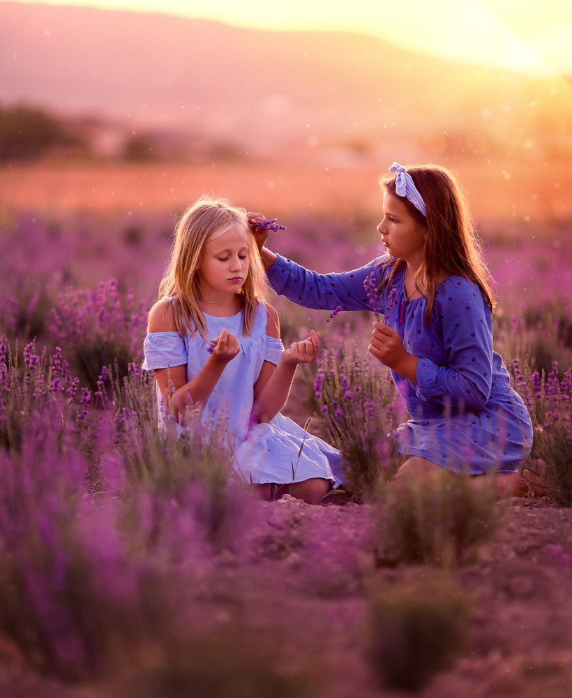 Лучшие подружки в лаванде