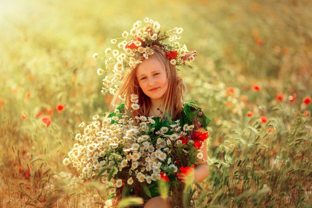 Ромашко-маковое поле