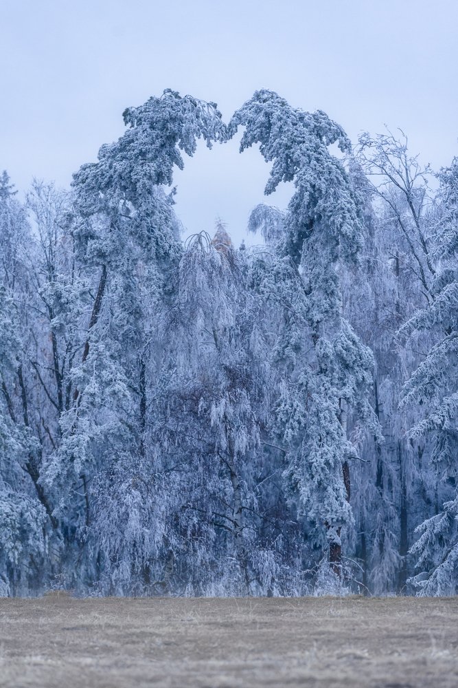 Photograph by Helen Mountaniol