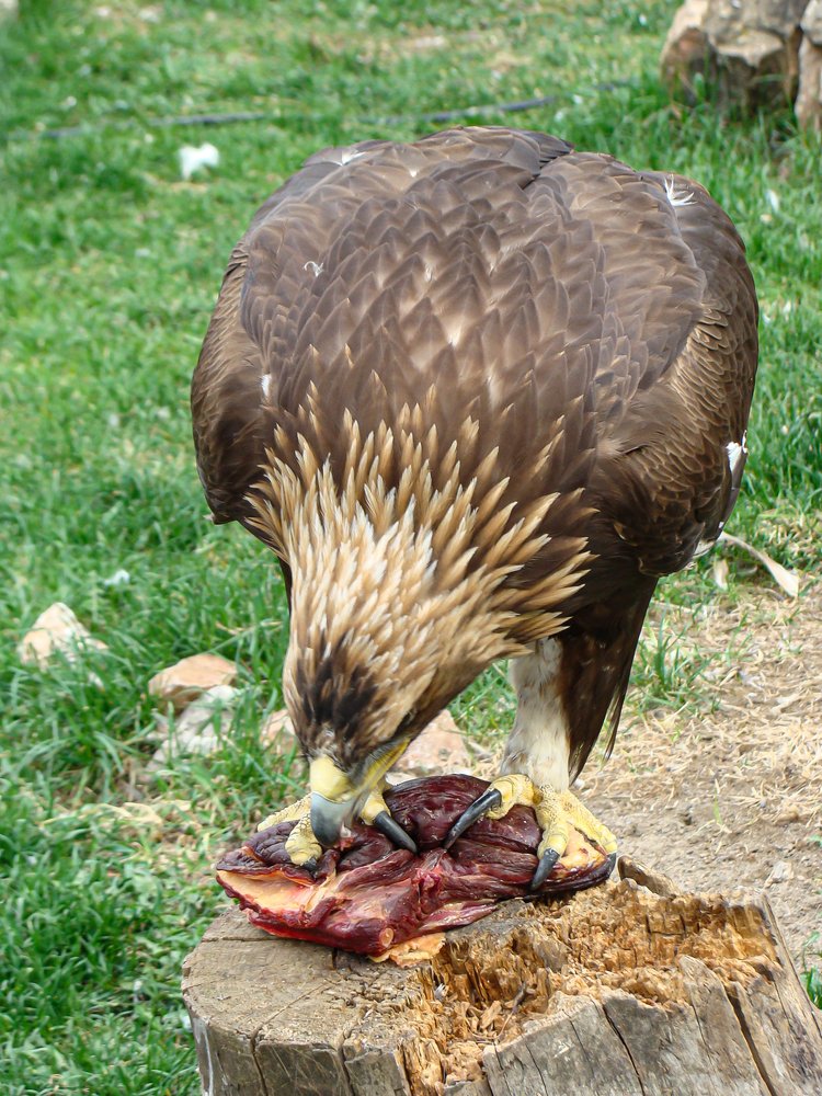 Photograph by Наталья Муравьёва