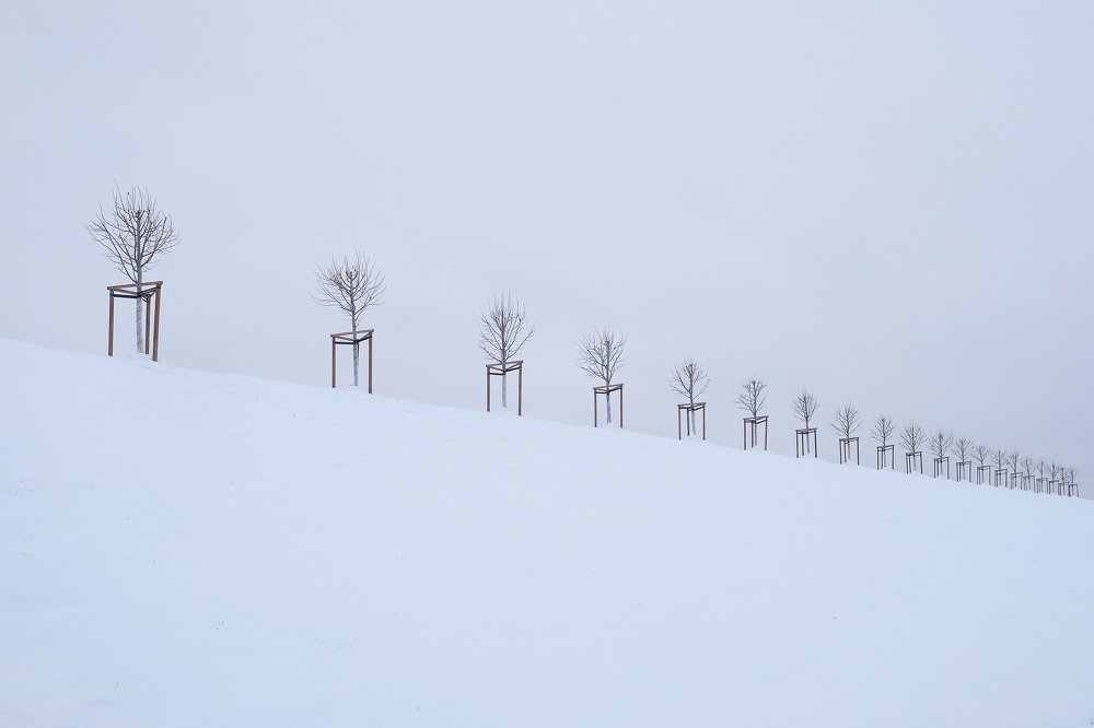 В Петергофе