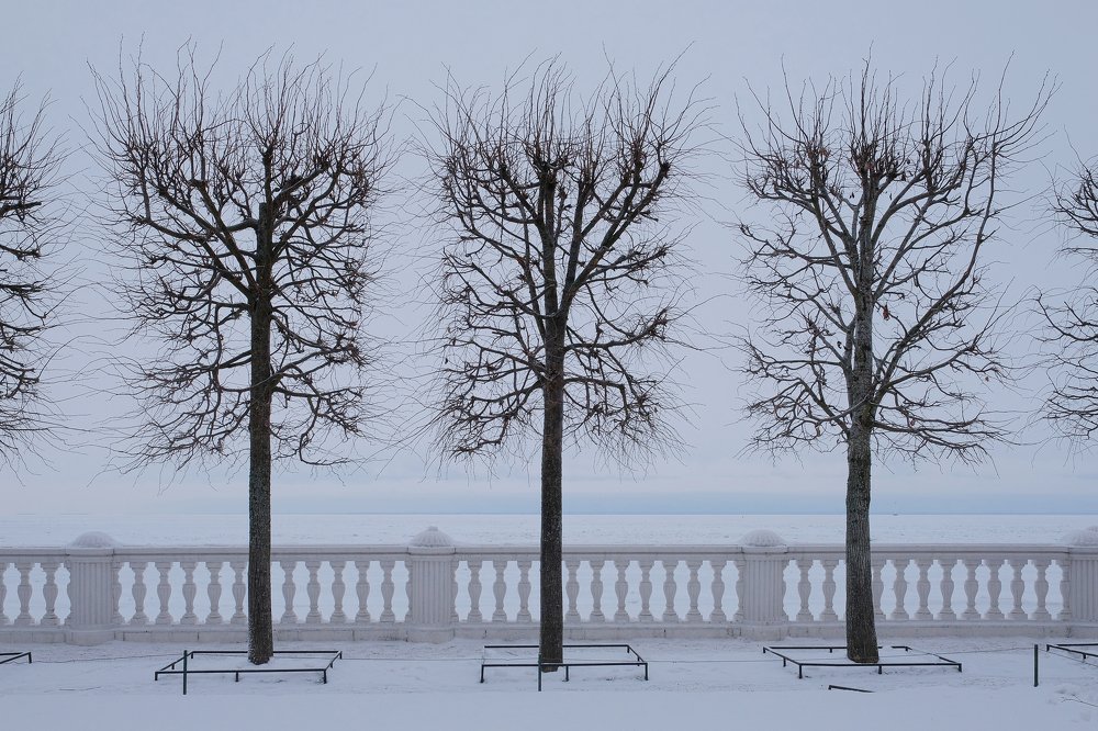 Photograph by Олеся Неволина-Лопатина