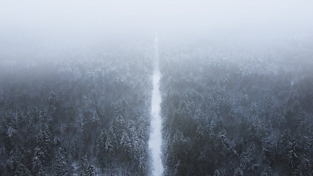 Зимняя симметрия