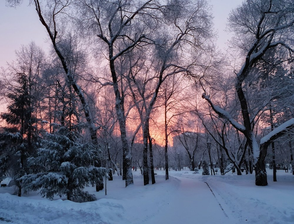 Photograph by Наталья Адалинская