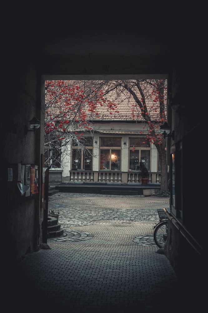 Photograph by Артём Корнюшин