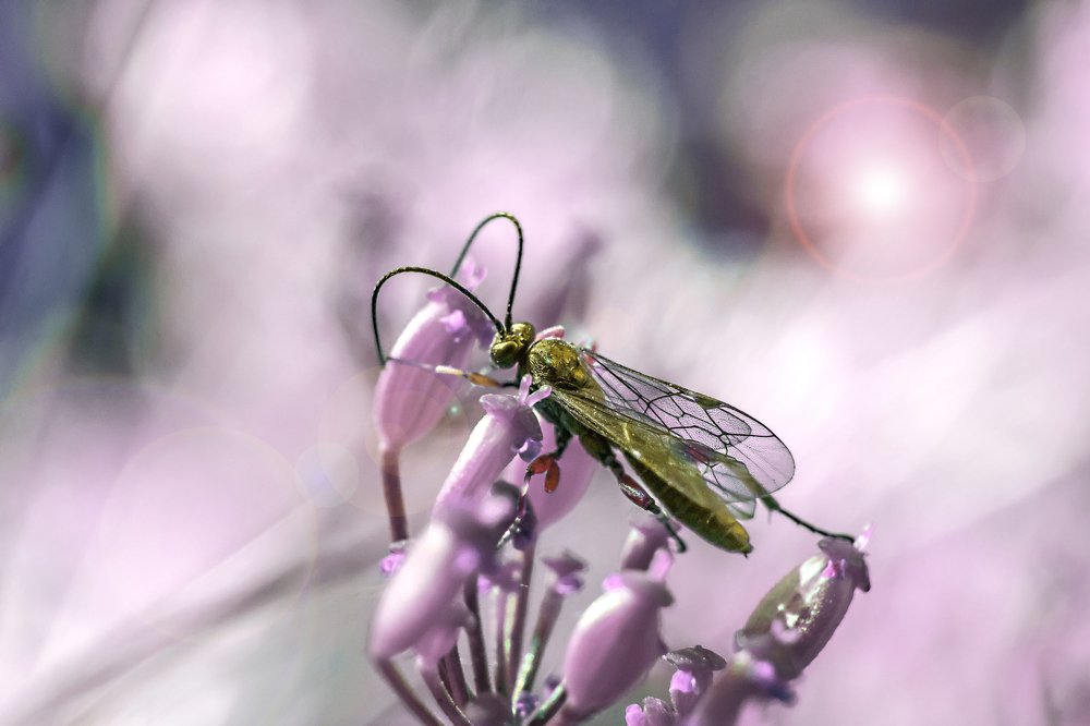 Photograph by Владислав Бичук