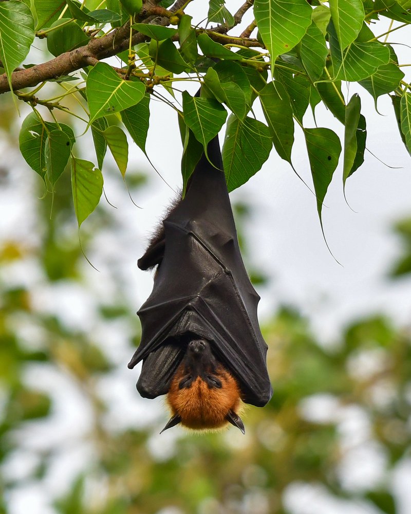 Photograph by James David Raj