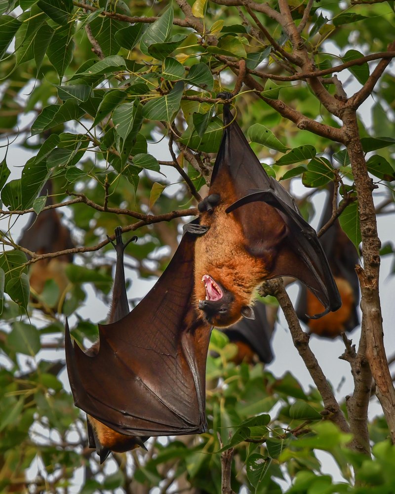 Photograph by James David Raj