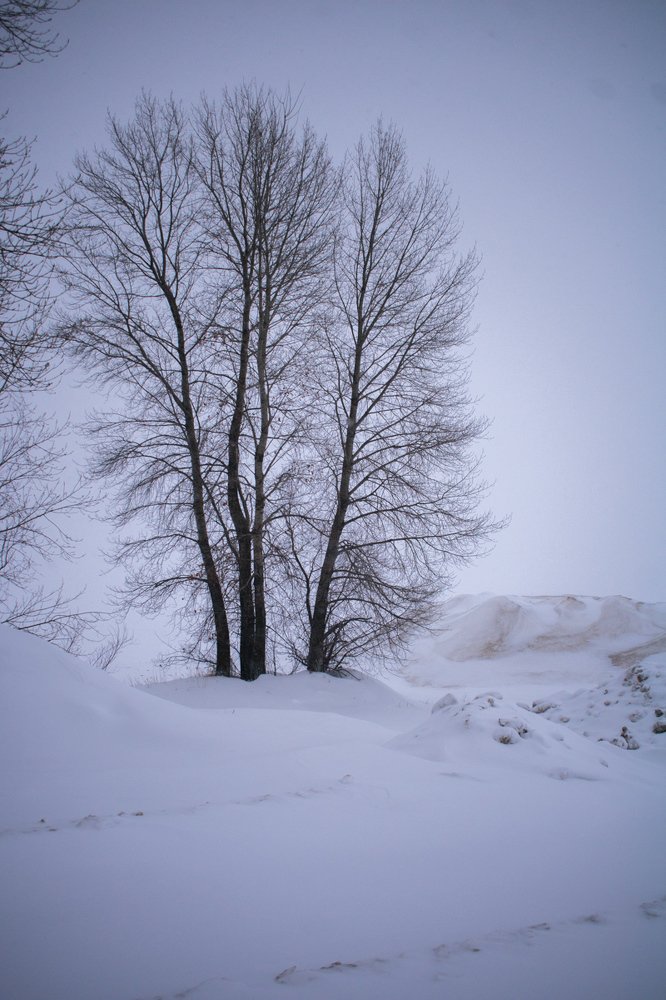 Photograph by Ильзира Нуруллина