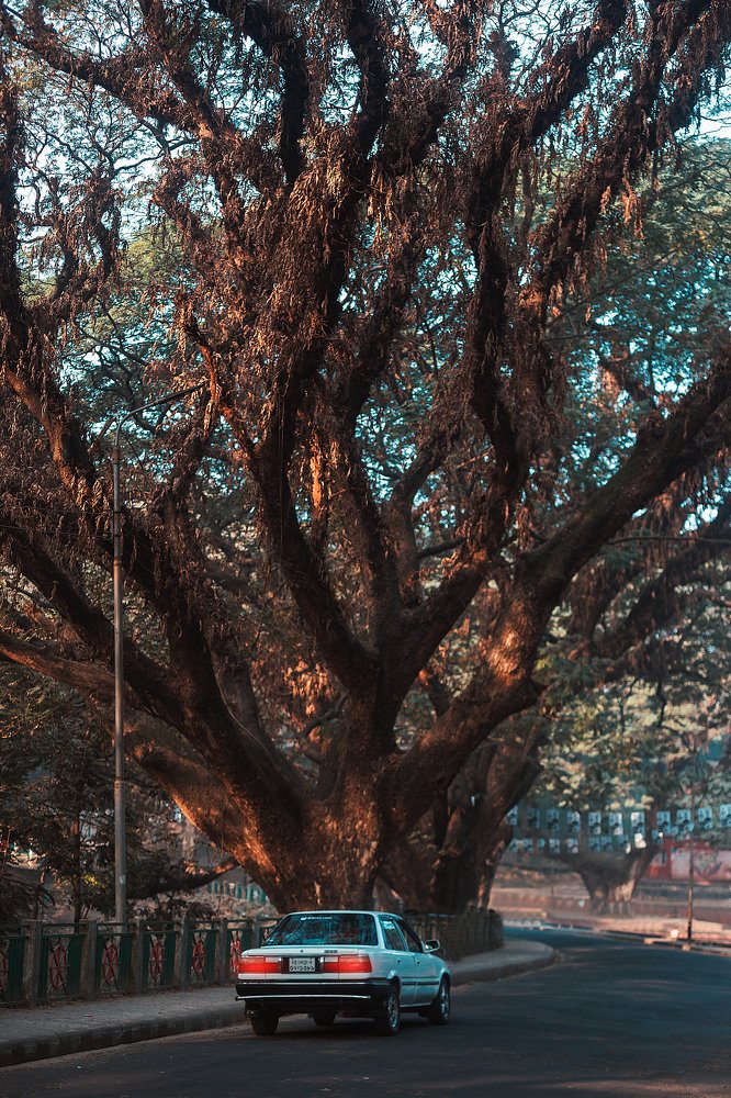 History, Heritage and Trust