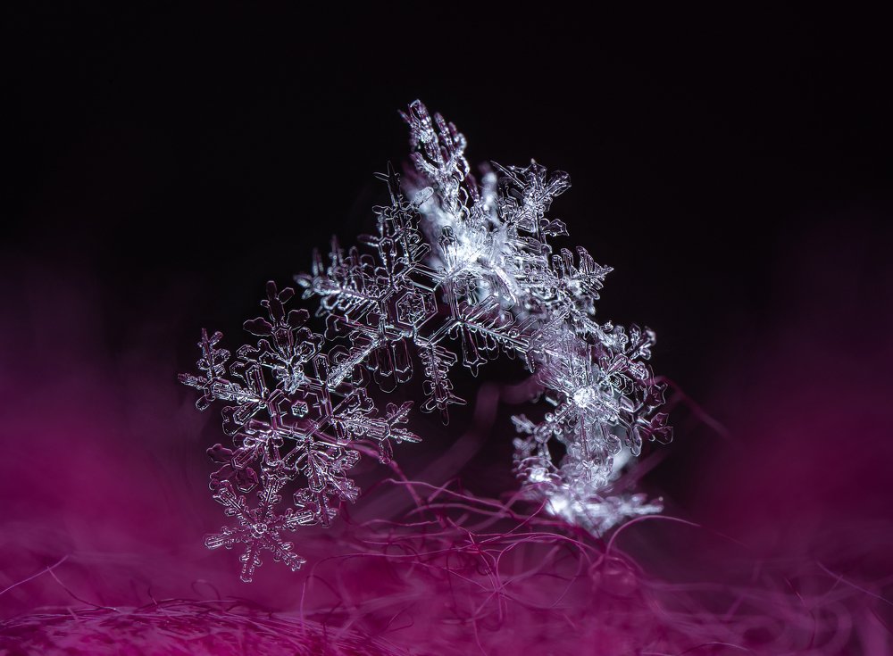 Фотография автора Dolli Pogrebnaya