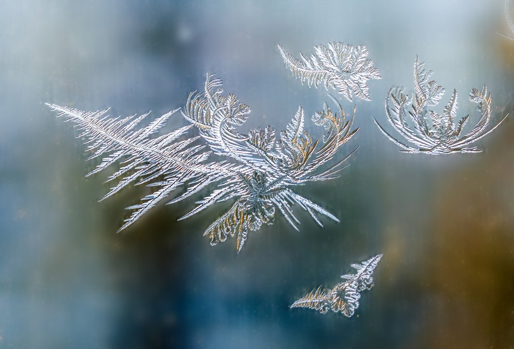 Узоры на оконном стекле