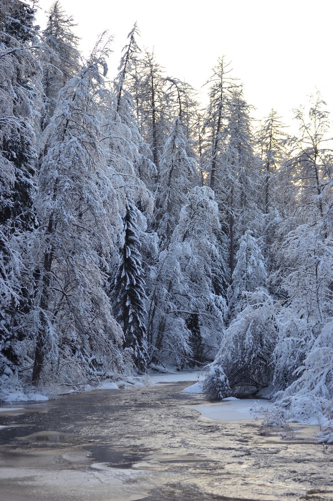 Photograph by Светлана Муравьева