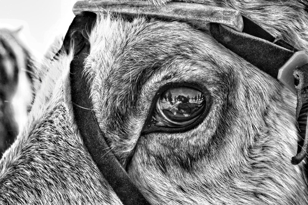 Photograph by Мария Шрейдер