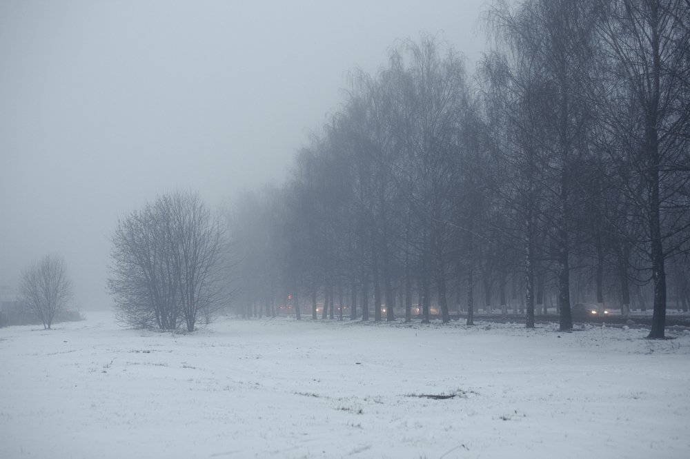 Туманный день в холодную зиму