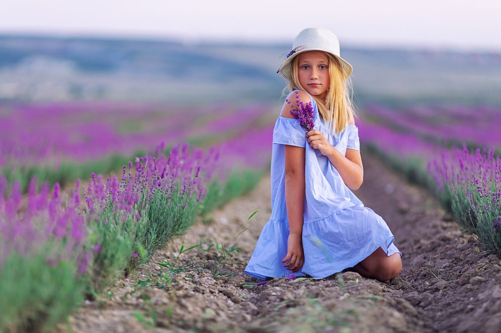 Закат в лаванде