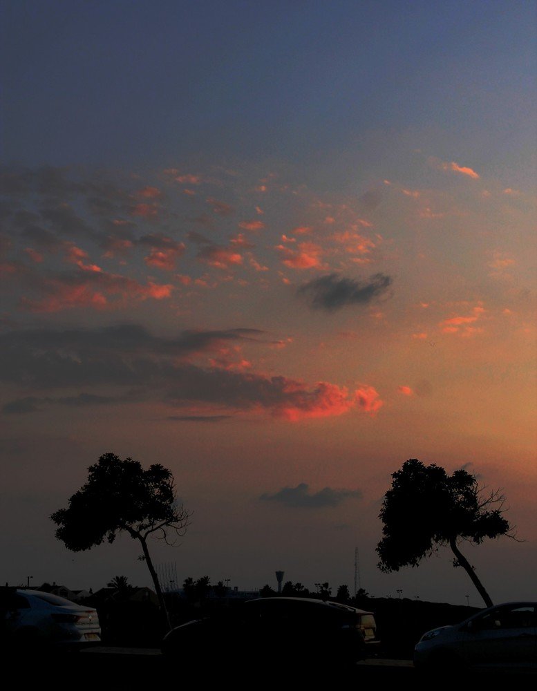 Фотография автора Алла Черноморская