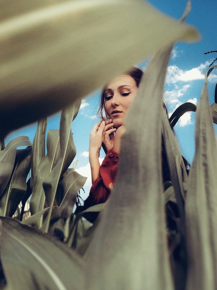 The Catcher in the Corn