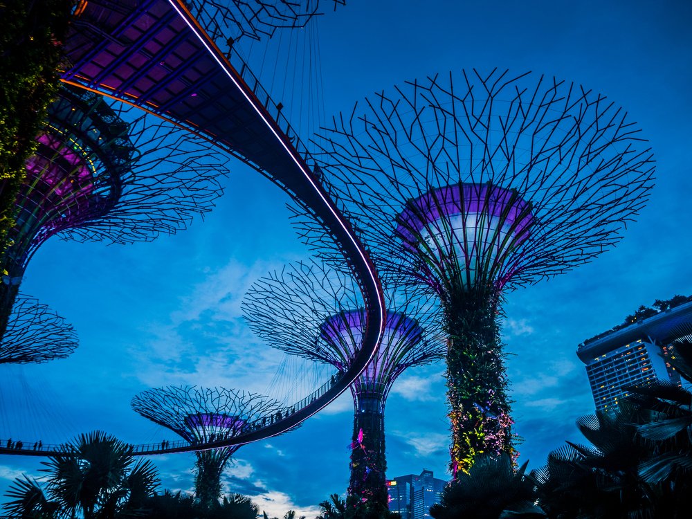 Photograph by Олеся Семенова