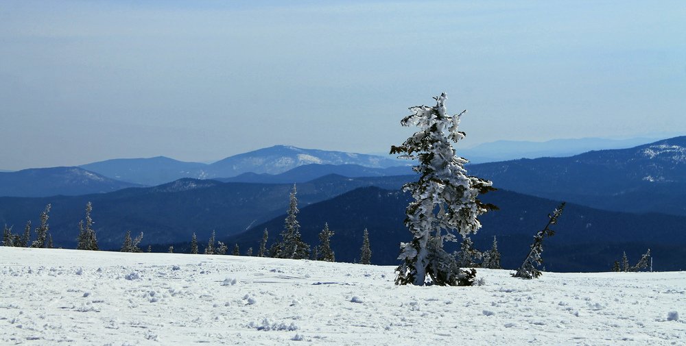 Photograph by Курочкина Диана