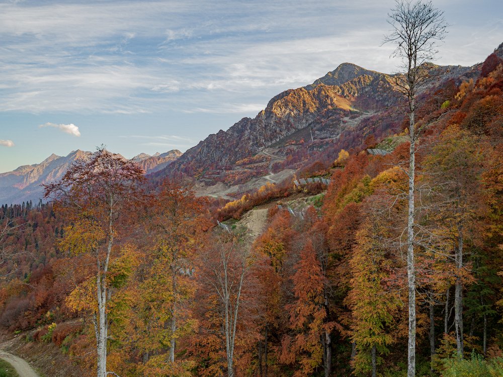 Photograph by Олеся Семенова