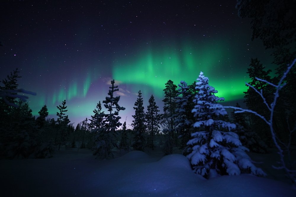 Северная сказка