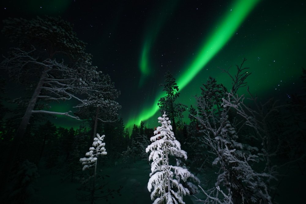 Photograph by Андрей Илатовский